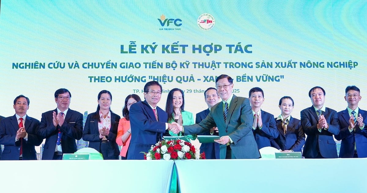 VFC signs a cooperation with SOFRI. Photo: VFC.