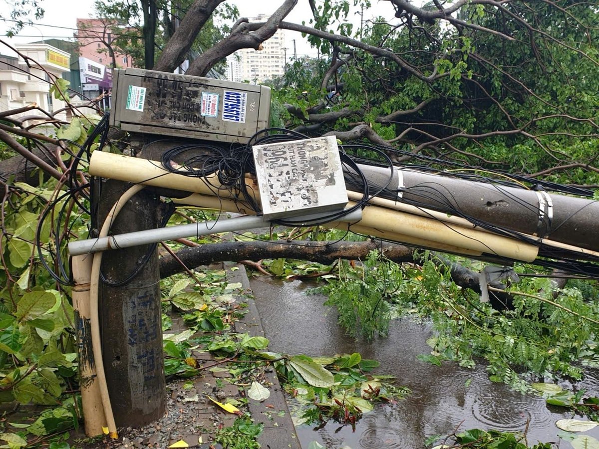 Sau cơn bão số 5, hàng trăm cột điện hạ áp ở tỉnh Nghệ An bị gãy. Ảnh: Đình Tiệp.