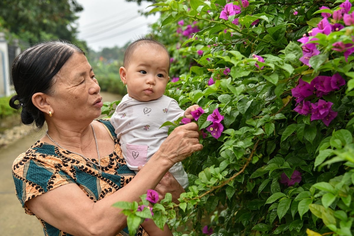 Bà và cháu chơi đùa bên hàng hoa giấy ven đường. Ảnh: Dương Đình Tường.