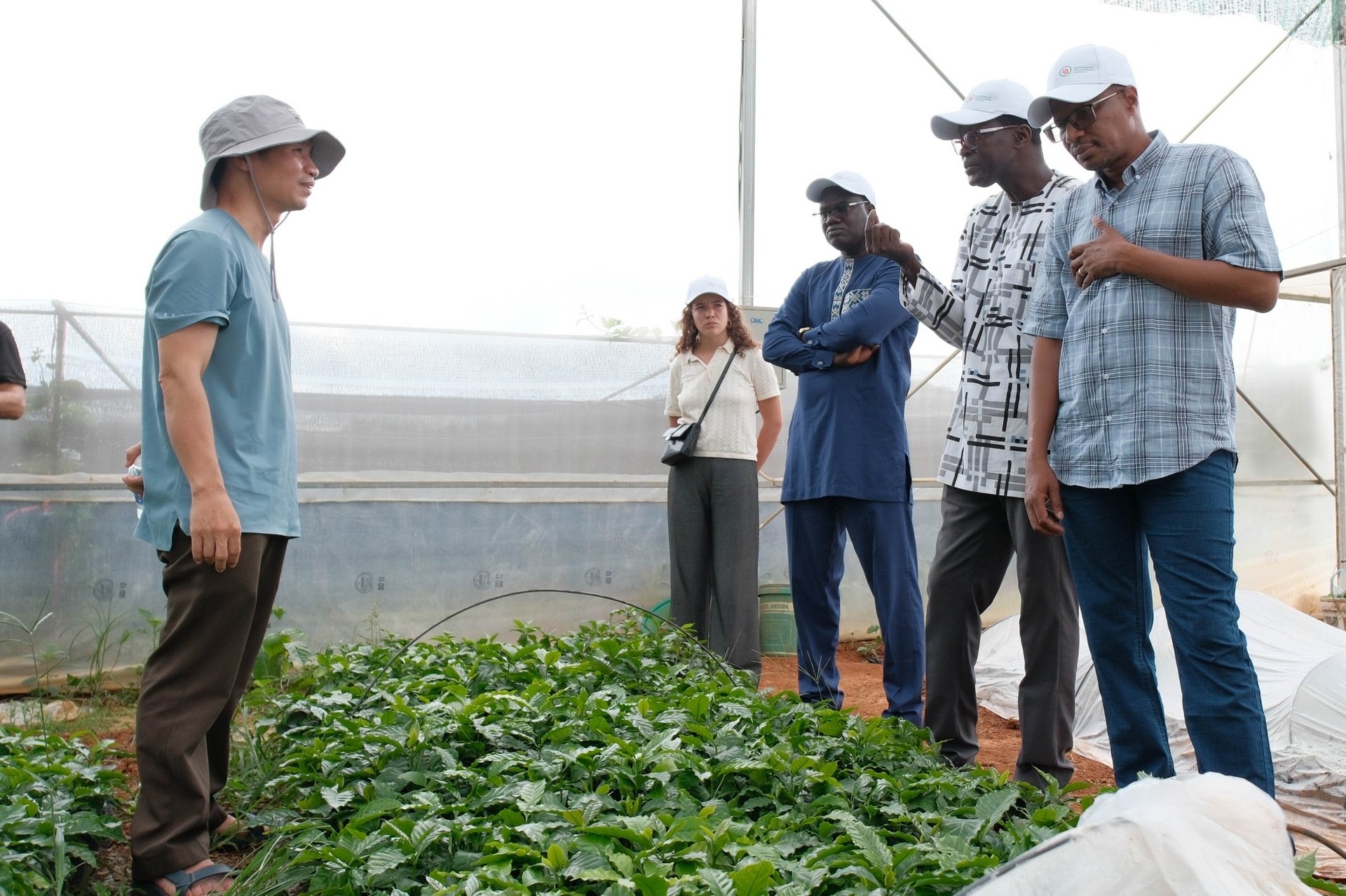 Vào tháng 8/2025, phái đoàn các nhà khoa học nông nghiệp hàng đầu Senegal đã đến thăm tỉnh Sơn La trong khuôn khổ dự án FEF-R do CIRAD điều phối. Ảnh: Quỳnh Chi. Vào tháng 8/2025, phái đoàn các nhà khoa học nông nghiệp hàng đầu Senegal đã đến thăm tỉnh Sơn La trong khuôn khổ dự án FEF-R do CIRAD điều phối. Ảnh: Quỳnh Chi.