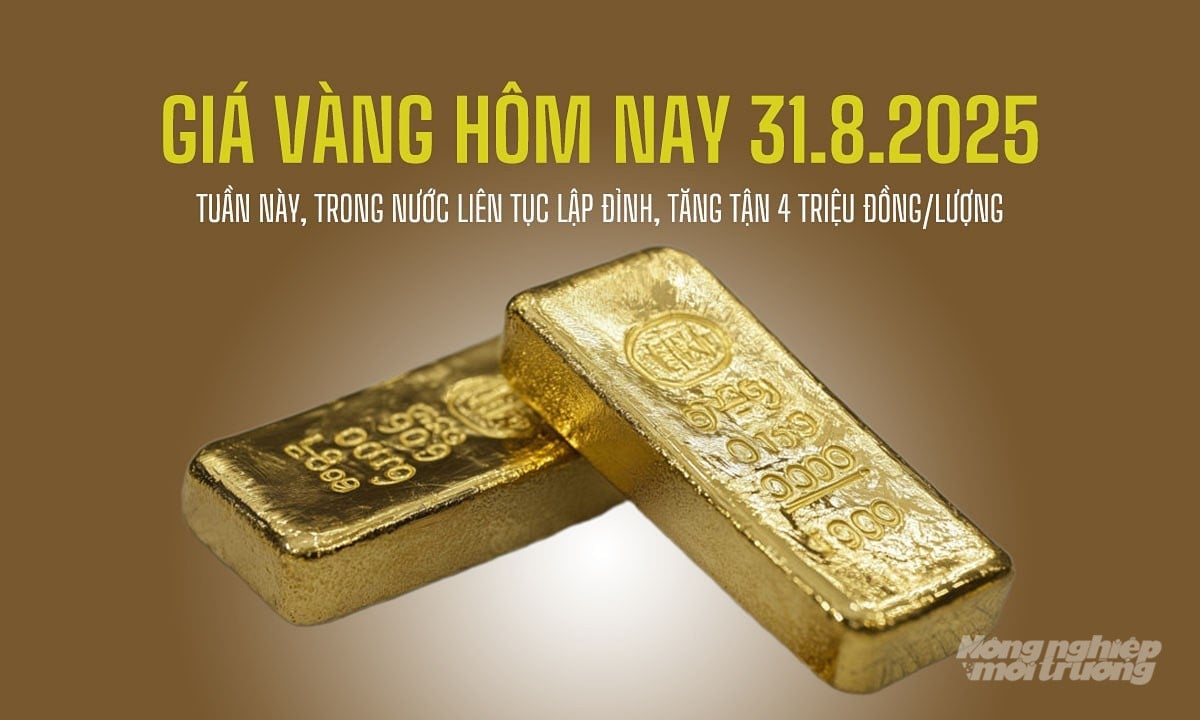 Bảng giá vàng hôm nay 31/8/2025 tại SJC, Mi Hồng, DOJI, PNJ, Phú Quý, BTMC Bảng giá vàng hôm nay 31/8/2025 tại SJC, Mi Hồng, DOJI, PNJ, Phú Quý, BTMC