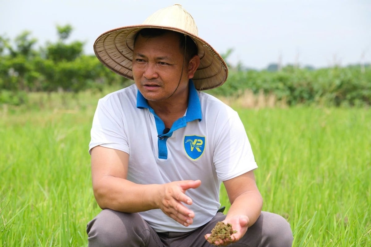 Nguyễn Khắc Hoàng là nông dân tri thức với ước mơ phục hưng bèo hoa dâu. Ảnh: Quỳnh Chi. Nguyễn Khắc Hoàng là nông dân tri thức với ước mơ phục hưng bèo hoa dâu. Ảnh: Quỳnh Chi.