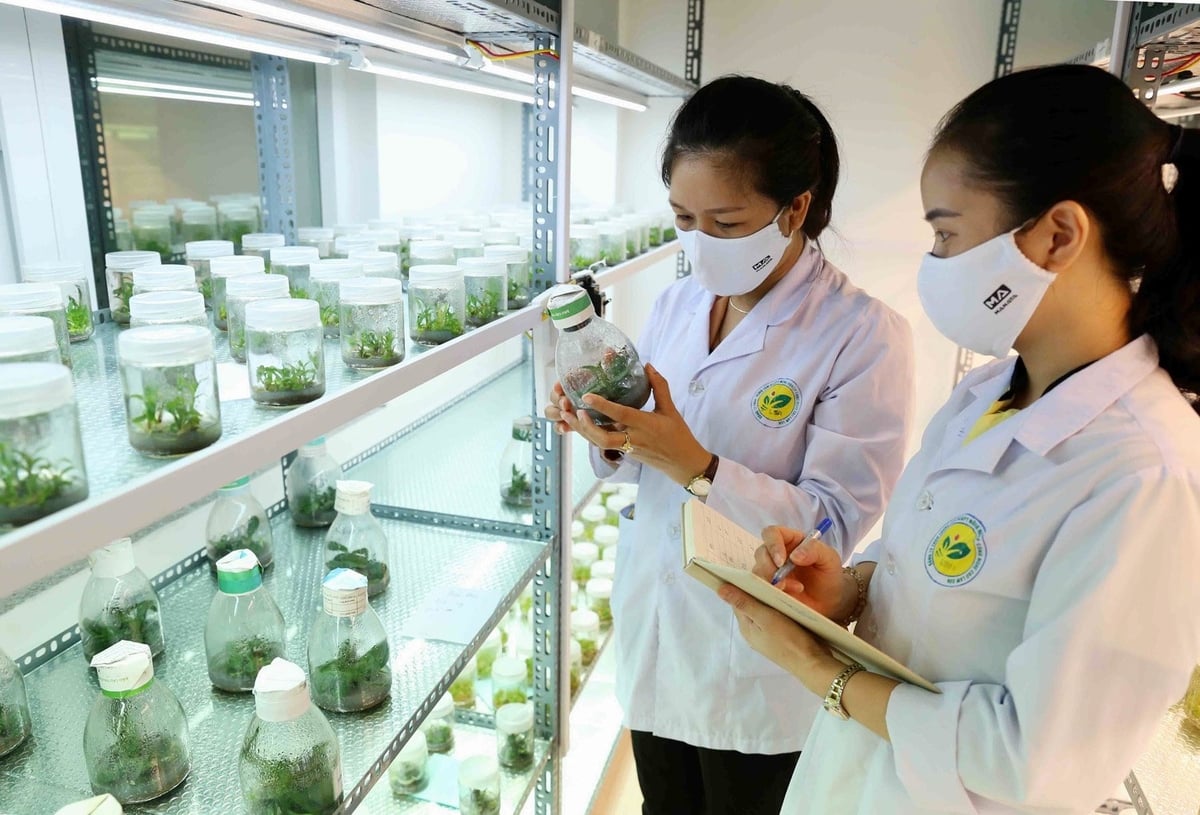 Trong những năm qua, nông nghiệp không ngừng đổi mới và phát triển nhờ ứng dụng các tiến bộ khoa học – công nghệ. Ảnh: Trung tâm XTTM Nông nghiệp. Trong những năm qua, nông nghiệp không ngừng đổi mới và phát triển nhờ ứng dụng các tiến bộ khoa học – công nghệ. Ảnh: Trung tâm XTTM Nông nghiệp.