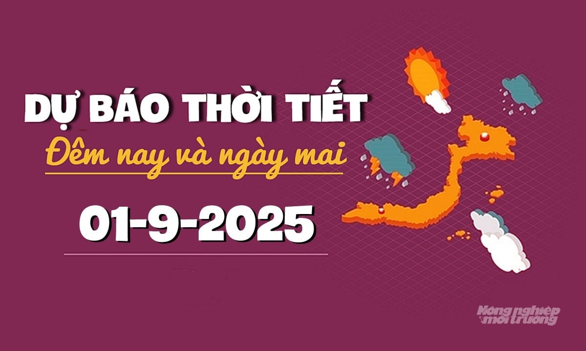 Tin tức thời tiết đêm nay và ngày mai 1/9/2025 trong cả nước
