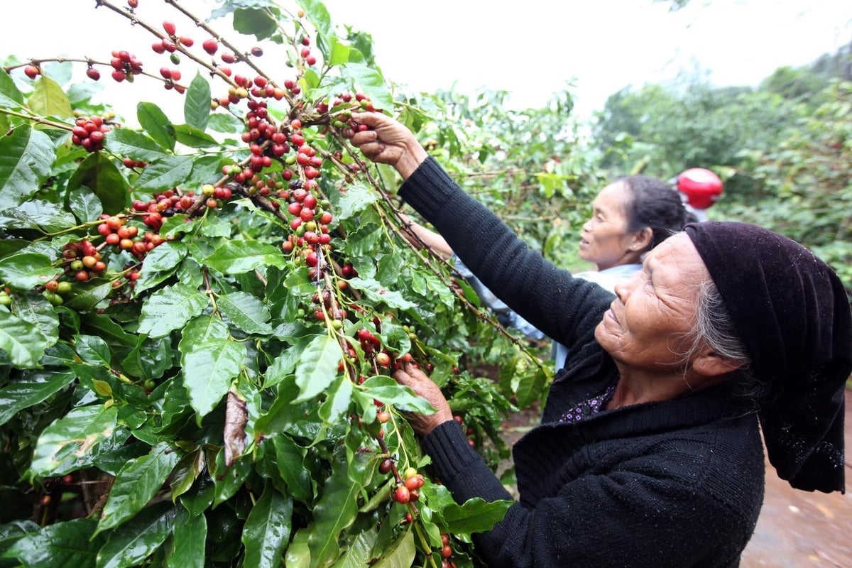Triển lãm '80 năm thành tựu kinh tế - xã hội' sẽ mang đến trải nghiệm độc đáo về những sản phẩm nông sản chủ lực của Việt Nam. Ảnh: Trung tâm XTTM Nông nghiệp. Triển lãm '80 năm thành tựu kinh tế - xã hội' sẽ mang đến trải nghiệm độc đáo về những sản phẩm nông sản chủ lực của Việt Nam. Ảnh: Trung tâm XTTM Nông nghiệp.