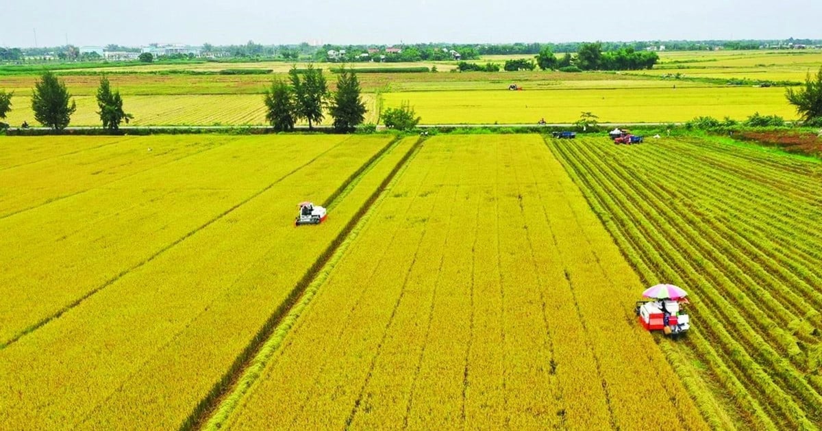Nhờ mở rộng đối tượng và đa dạng hóa mục đích sử dụng, đất đai nông thôn dần được tích tụ, quy hoạch vùng sản xuất, cánh đồng mẫu lớn ra đời, tạo ra vùng nguyên liệu lớn, đầu tư hạ tầng, cơ giới hóa, hiện đại hóa canh tác. Ảnh: T.G. Nhờ mở rộng đối tượng và đa dạng hóa mục đích sử dụng, đất đai nông thôn dần được tích tụ, quy hoạch vùng sản xuất, cánh đồng mẫu lớn ra đời, tạo ra vùng nguyên liệu lớn, đầu tư hạ tầng, cơ giới hóa, hiện đại hóa canh tác. Ảnh: T.G.