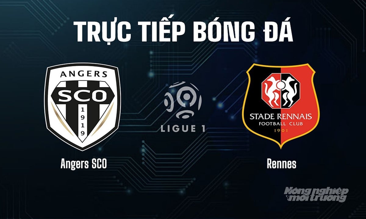 Trực tiếp bóng đá Ligue 1 (VĐQG Pháp) 2025/26 giữa Angers SCO vs Rennes hôm nay 31/8/2025 Trực tiếp bóng đá Ligue 1 (VĐQG Pháp) 2025/26 giữa Angers SCO vs Rennes hôm nay 31/8/2025