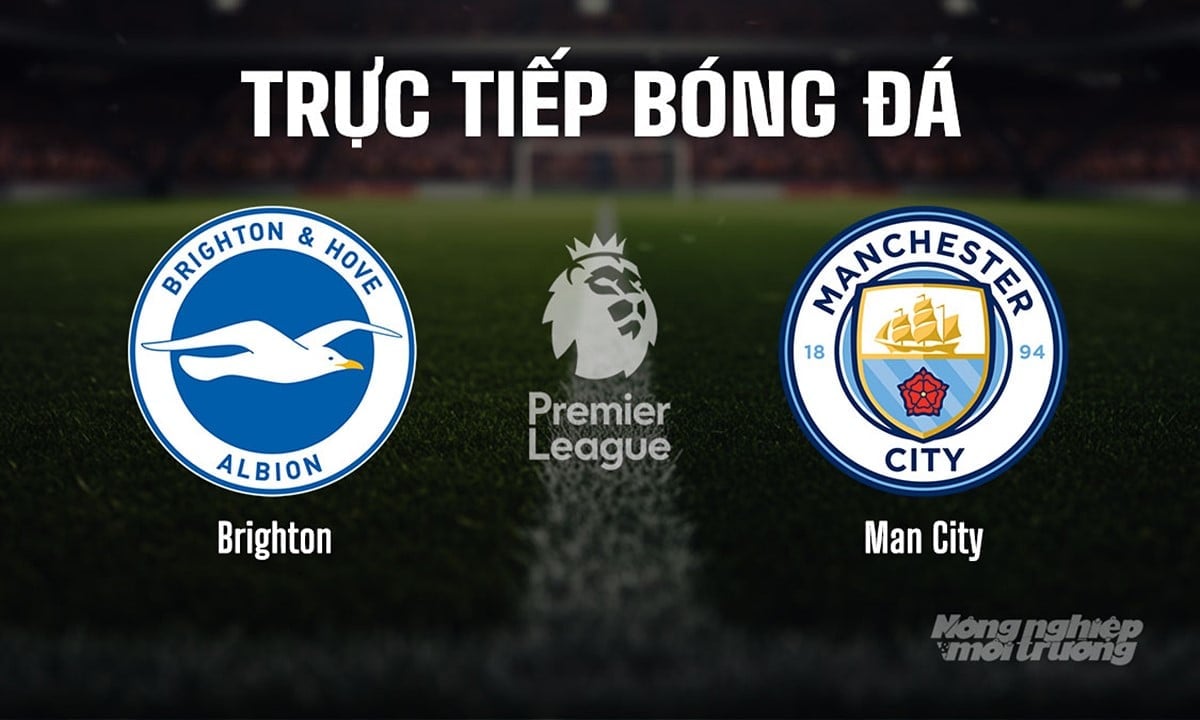 Trực tiếp bóng đá Ngoại hạng Anh giữa Brighton vs Man City hôm nay 31/8/2025 Trực tiếp bóng đá Ngoại hạng Anh giữa Brighton vs Man City hôm nay 31/8/2025