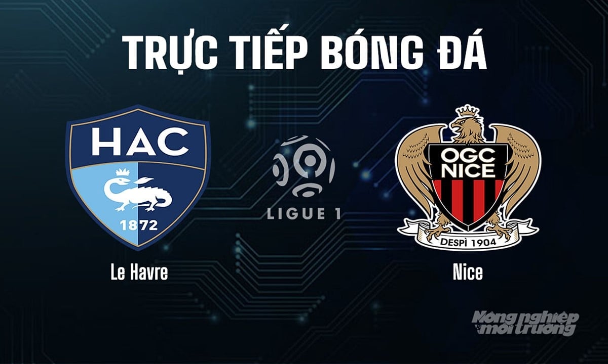Trực tiếp bóng đá Ligue 1 (VĐQG Pháp) 2025/26 giữa Le Havre vs Nice hôm nay 31/8/2025 Trực tiếp bóng đá Ligue 1 (VĐQG Pháp) 2025/26 giữa Le Havre vs Nice hôm nay 31/8/2025