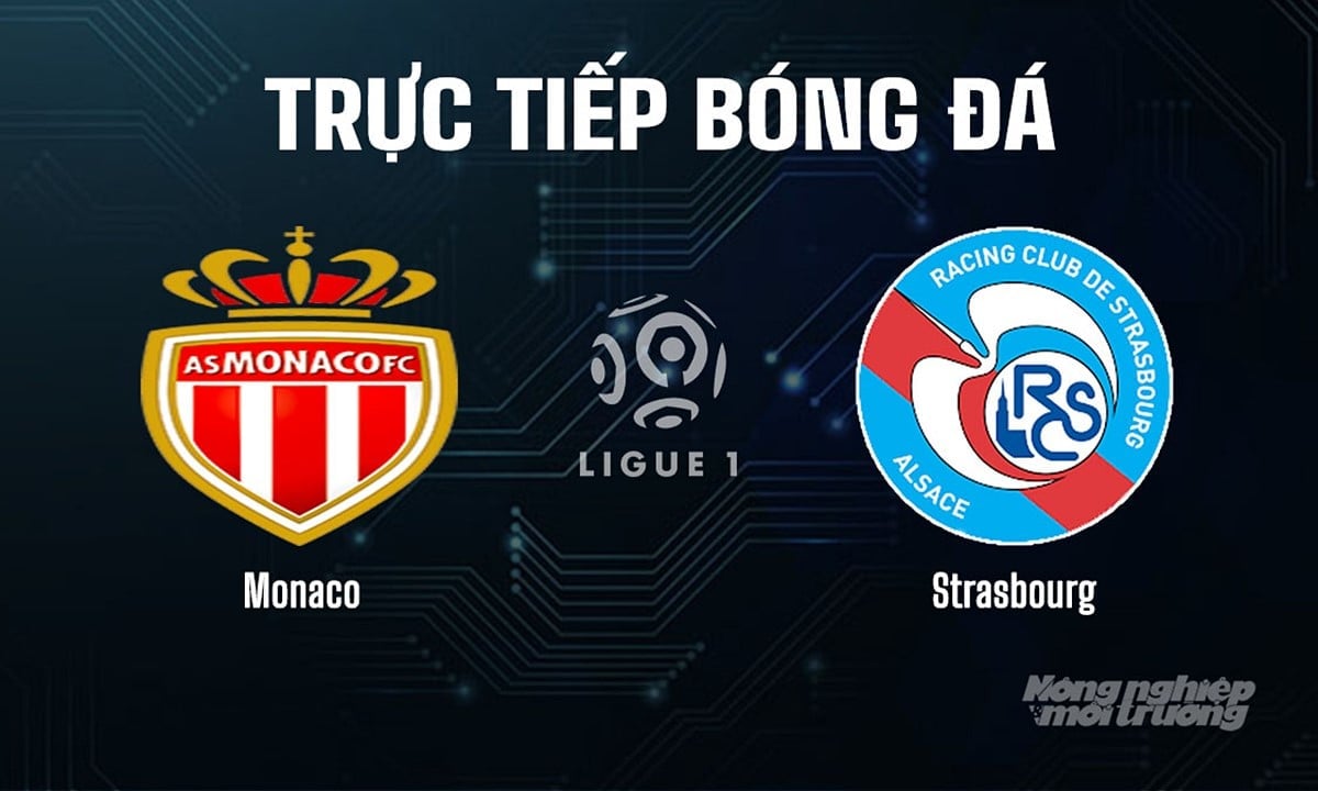 Trực tiếp bóng đá Ligue 1 (VĐQG Pháp) 2025/26 giữa Monaco vs Strasbourg hôm nay 31/8/2025 Trực tiếp bóng đá Ligue 1 (VĐQG Pháp) 2025/26 giữa Monaco vs Strasbourg hôm nay 31/8/2025