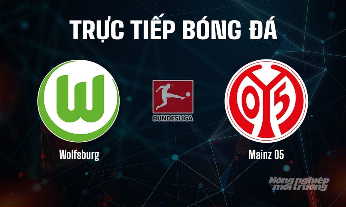 Trực tiếp bóng đá Bundesliga 2025/26 giữa Wolfsburg vs Mainz 05 hôm nay 30/8/2025 Trực tiếp bóng đá Bundesliga 2025/26 giữa Wolfsburg vs Mainz 05 hôm nay 30/8/2025