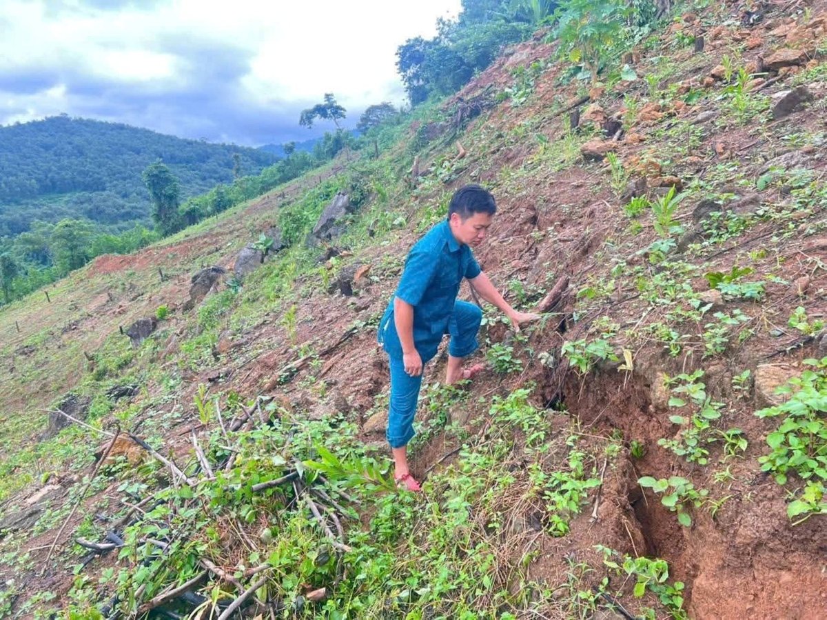 Vết nứt có chiều dài hơn 100 m, sâu trung bình khoảng 60 cm. Ảnh: UBND xã Tiền Phong.