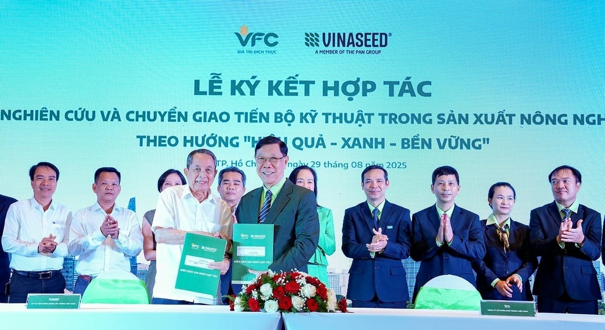 VFC signs cooperation with the Vinaseed Research Institute. Photo: VFC.