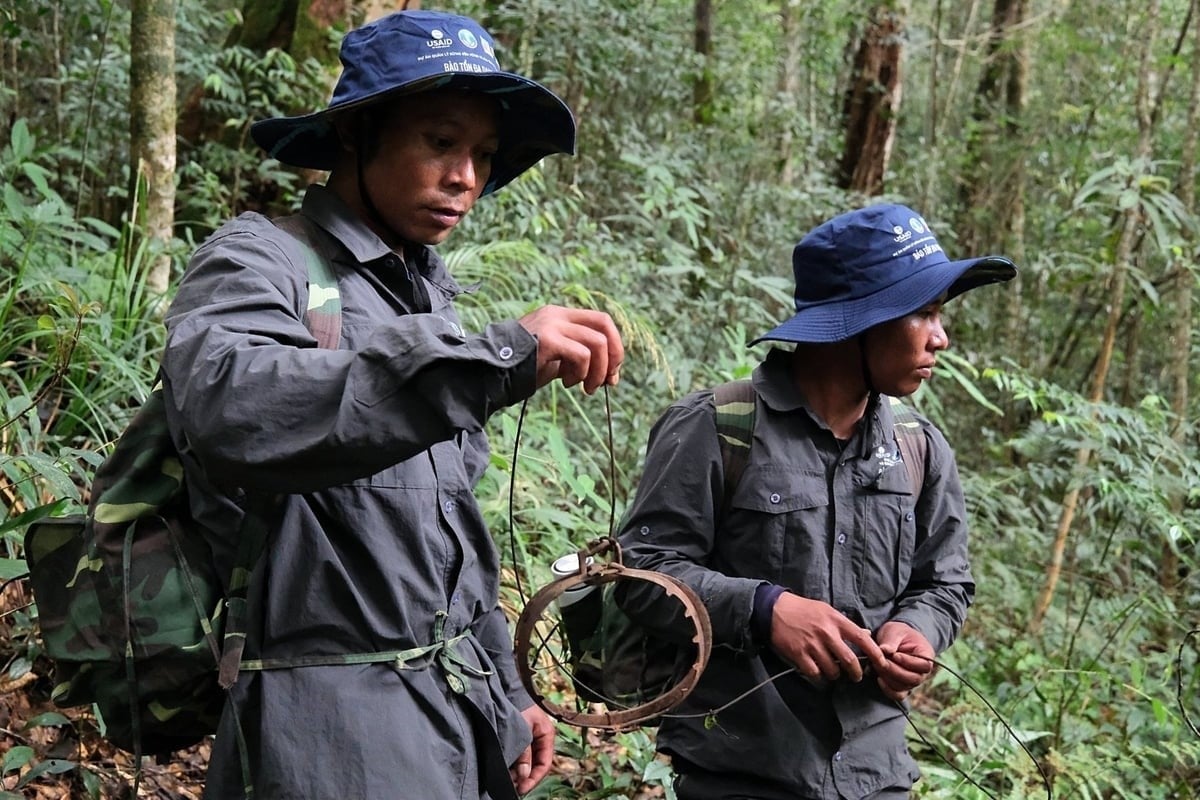 Ko Sa Ra Dap with a trap he discovered in the forest. Photo: Bao Thang.