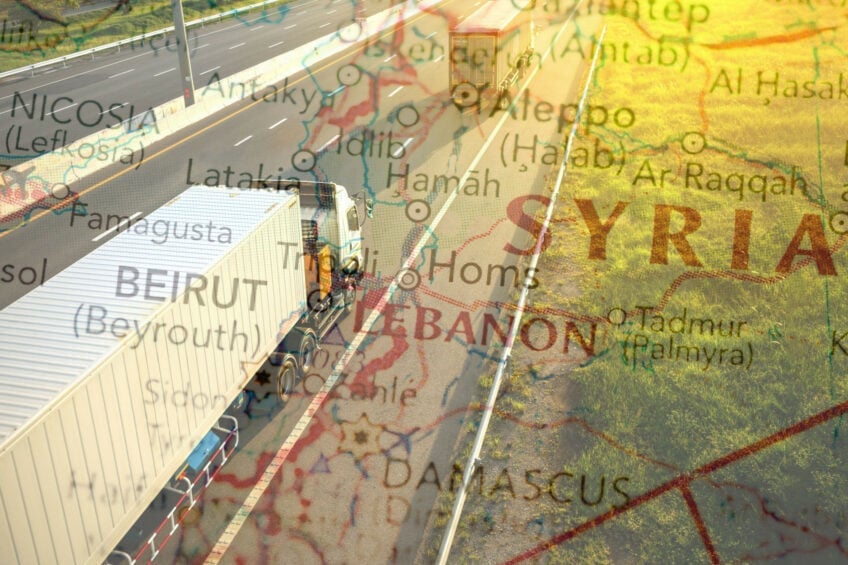 In 2023, Syria exported poultry valued at only US$1.1 million, with the entire quantity being shipped to Lebanon. Photo: Canva.