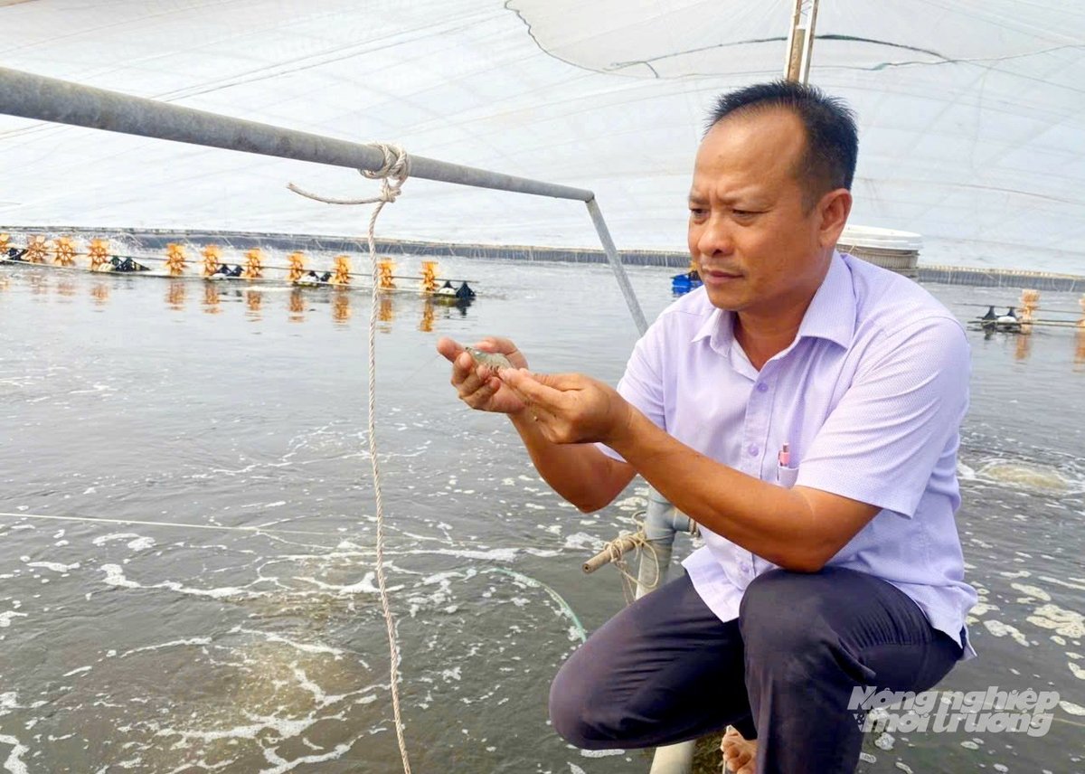 Thủy sản ở Tân Phú Đông chiếm gần 40% diện tích sản xuất nông nghiệp với sản lượng 36.000 tấn/năm. Ảnh: Lê Hoàng Vũ. Thủy sản ở Tân Phú Đông chiếm gần 40% diện tích sản xuất nông nghiệp với sản lượng 36.000 tấn/năm. Ảnh: Lê Hoàng Vũ.
