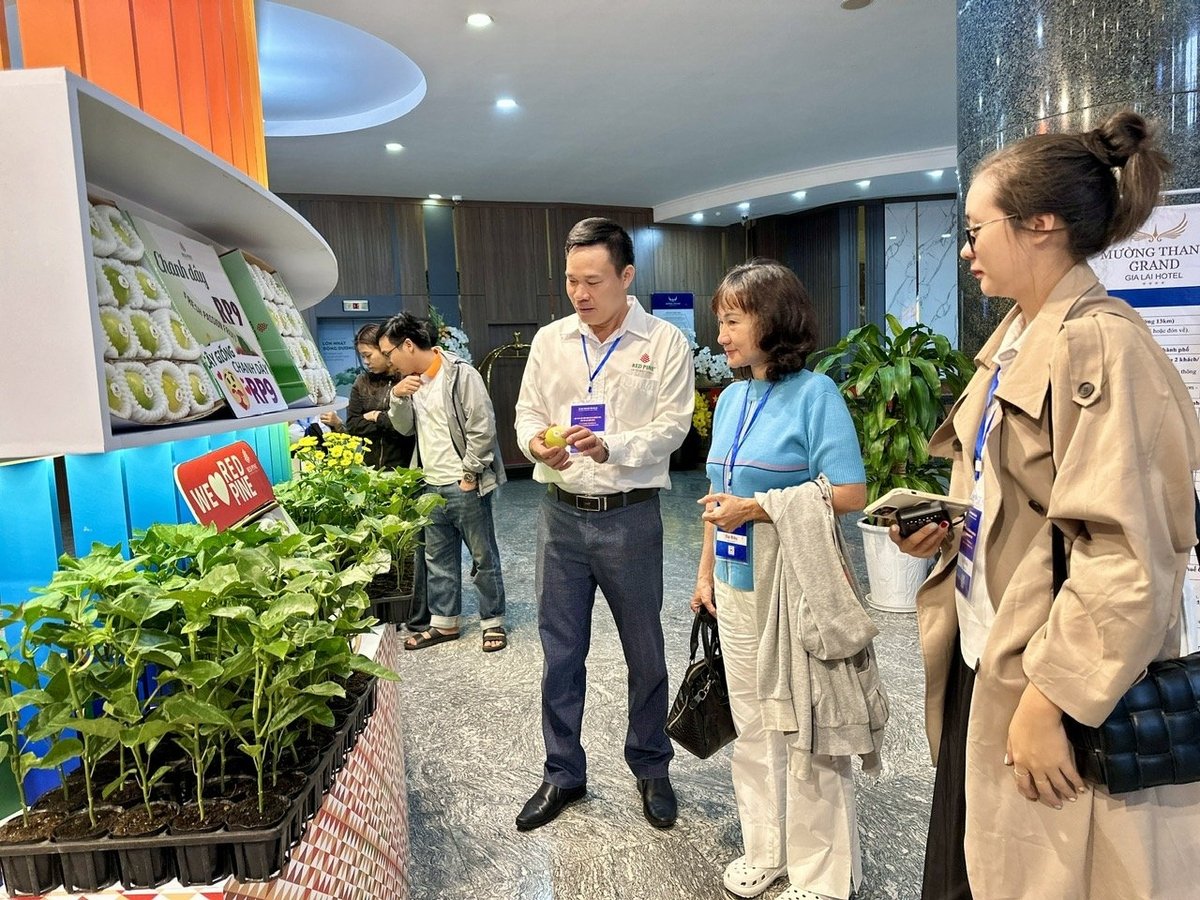 Gian hàng trưng bày sản phẩm cây giống chất lượng cao của Công ty CP Quốc tế Thông Đỏ. Ảnh: Đăng Lâm. 