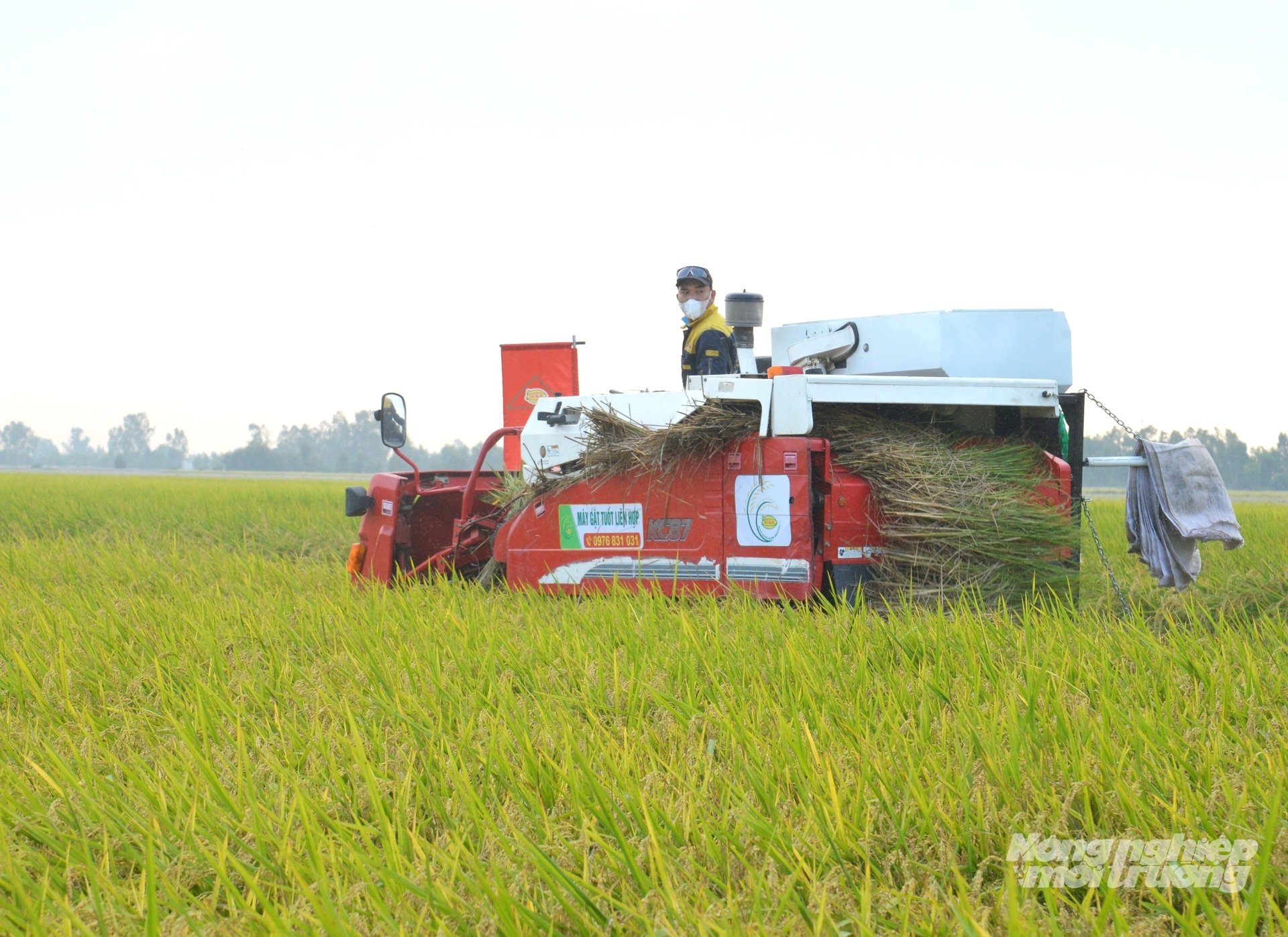 Trên 100.000 ha lúa hè thu 2025 tiếp tuc được nông dân An Giang thu hoạch trong tháng 9 và tháng 10, sản lượng lúa cần phải tiêu thụ còn rất lớn, trong khi lúa thu đông gieo sạ sớm sẽ nối tiếp cho thu hoạch. Ảnh: Trung Chánh. Trên 100.000 ha lúa hè thu 2025 tiếp tuc được nông dân An Giang thu hoạch trong tháng 9 và tháng 10, sản lượng lúa cần phải tiêu thụ còn rất lớn, trong khi lúa thu đông gieo sạ sớm sẽ nối tiếp cho thu hoạch. Ảnh: Trung Chánh.