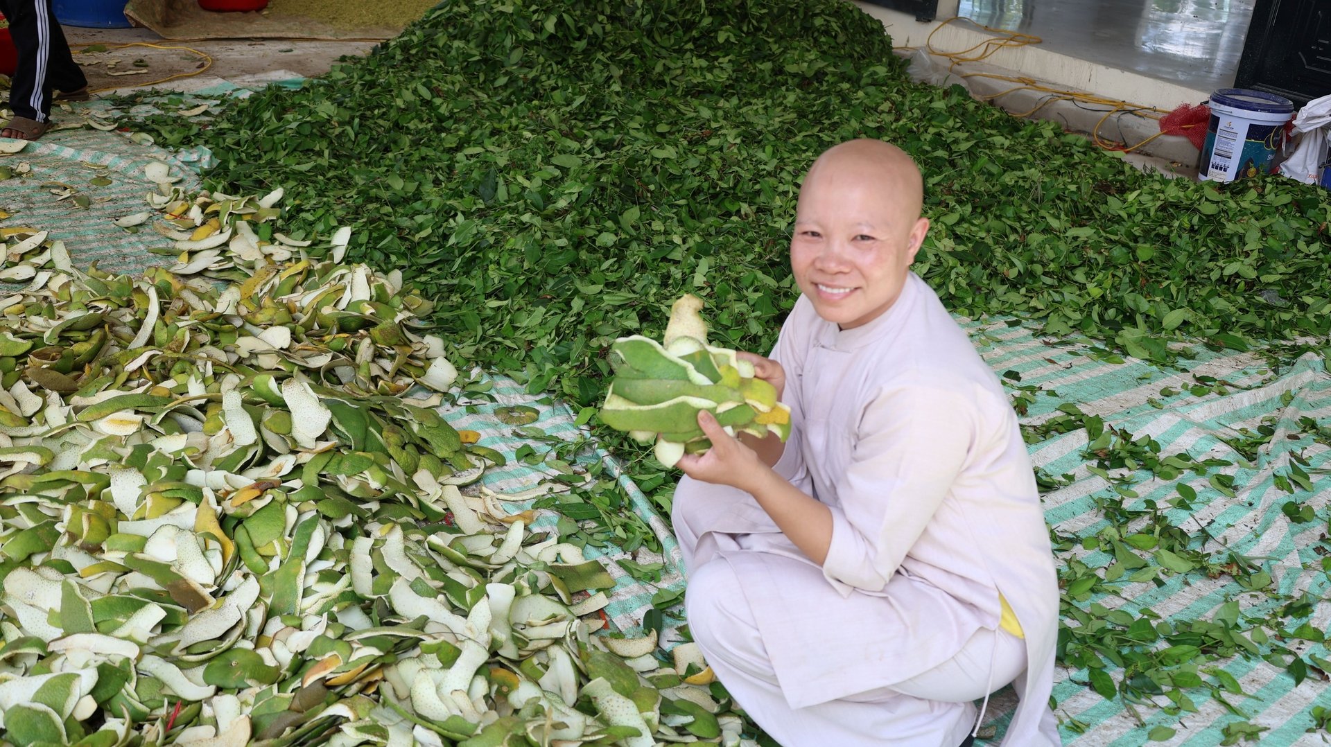 Sư thầy Thích Đàm Ngoan sinh ra và lớn lên ở huyện miền núi Cẩm Thủy cũ, tỉnh Thanh Hóa. Từ thuở nhỏ, sư Ngoan thường được bố mẹ dùng các loại thảo dược lấy trong rừng về gội đầu, quả bồ hòn dùng làm nước rửa bát, xà phòng. Tuổi thơ, các loại cây cỏ, thảo dược trong tự nhiên đã trở nên quen thuộc với sư Ngoan. Sư thầy Thích Đàm Ngoan sinh ra và lớn lên ở huyện miền núi Cẩm Thủy cũ, tỉnh Thanh Hóa. Từ thuở nhỏ, sư Ngoan thường được bố mẹ dùng các loại thảo dược lấy trong rừng về gội đầu, quả bồ hòn dùng làm nước rửa bát, xà phòng. Tuổi thơ, các loại cây cỏ, thảo dược trong tự nhiên đã trở nên quen thuộc với sư Ngoan.