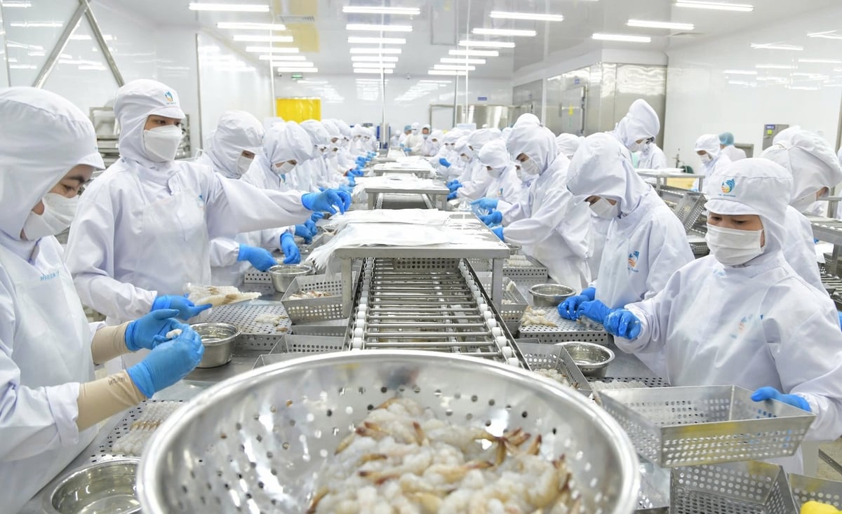 EU là thị trường tiêu thụ các mặt hàng thủy sản lớn từ Việt Nam trong nhiều năm. Ảnh: Lê Bình. EU là thị trường tiêu thụ các mặt hàng thủy sản lớn từ Việt Nam trong nhiều năm. Ảnh: Lê Bình.