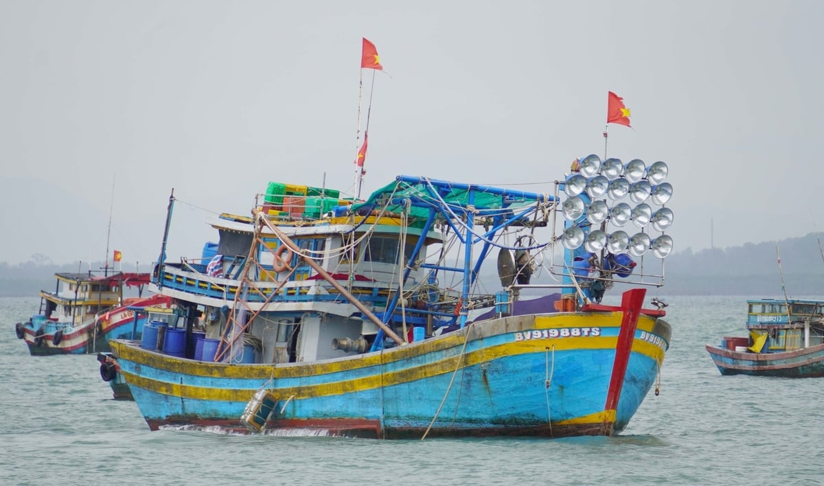 'Thẻ vàng' IUU là một trong những nút thắt khó nhất khiến thủy sản Việt Nam khó vào thị trường EU. Ảnh: Lê Bình. 'Thẻ vàng' IUU là một trong những nút thắt khó nhất khiến thủy sản Việt Nam khó vào thị trường EU. Ảnh: Lê Bình.