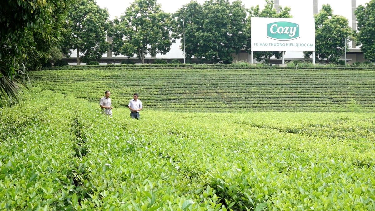 Ông Đoàn Anh Tuân chia sẻ về hành trình làm nông nghiệp hữu cơ. Ảnh: Quang Dũng.