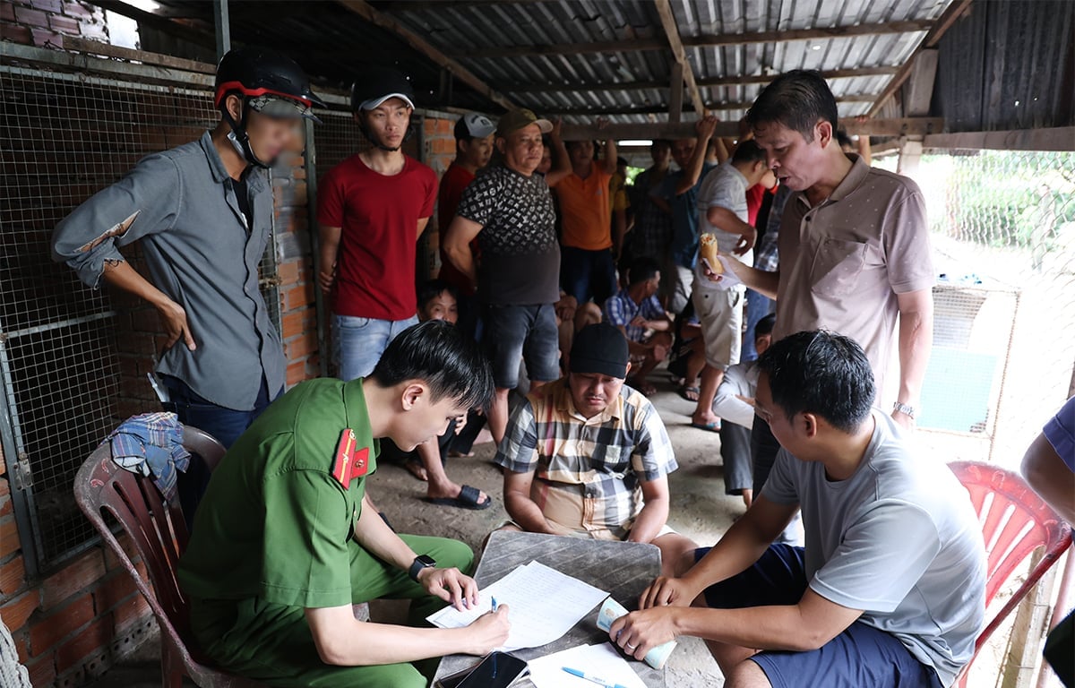 Công an tỉnh An Giang triệt phá sòng bạc đá gà, bắt giữ 50 đối tượng. Ảnh: Tiến Tầm. Công an tỉnh An Giang triệt phá sòng bạc đá gà, bắt giữ 50 đối tượng. Ảnh: Tiến Tầm.