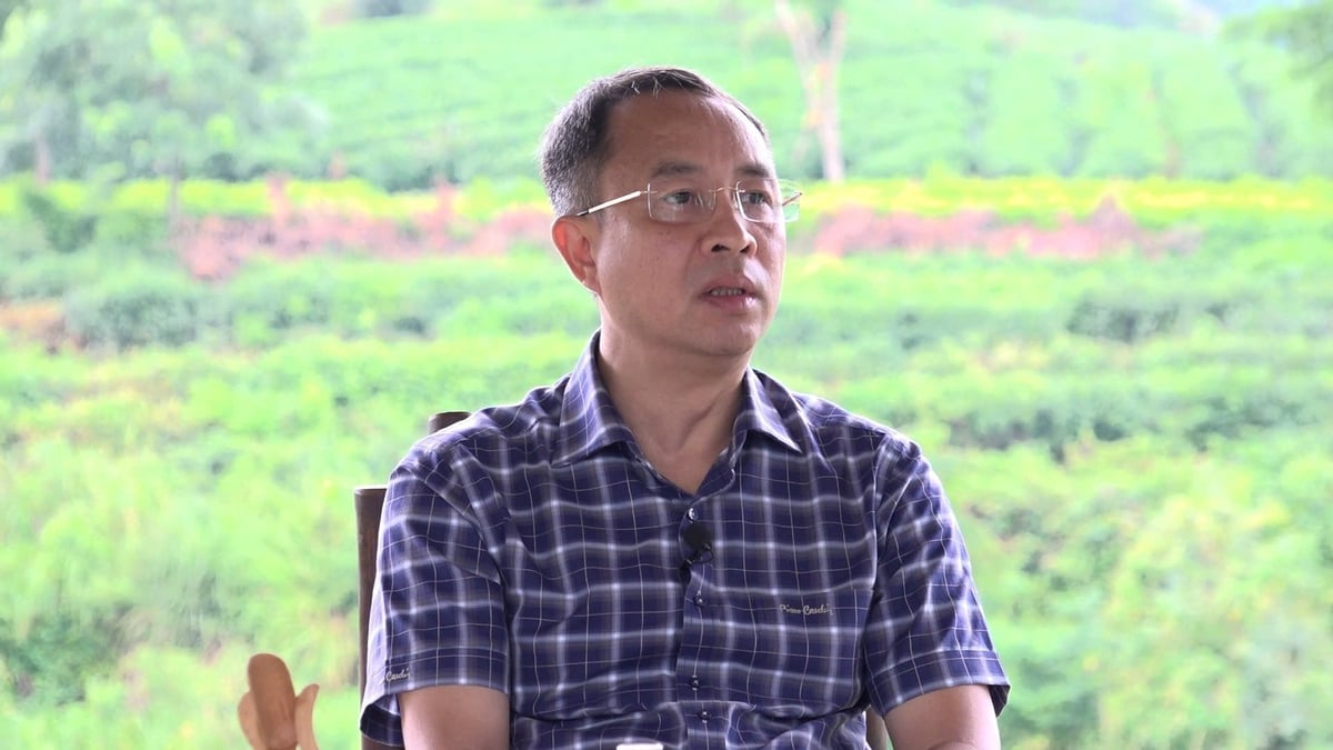 Ông Đoàn Anh Tuân - CEO trà Cozy. Ảnh: Quang Dũng.