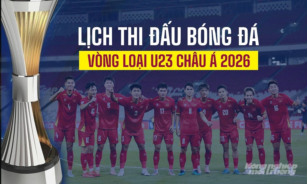 Chi tiết lịch thi đấu bóng đá vòng loại U23 Châu Á 2026 tại bảng C mới nhất Chi tiết lịch thi đấu bóng đá vòng loại U23 Châu Á 2026 tại bảng C mới nhất