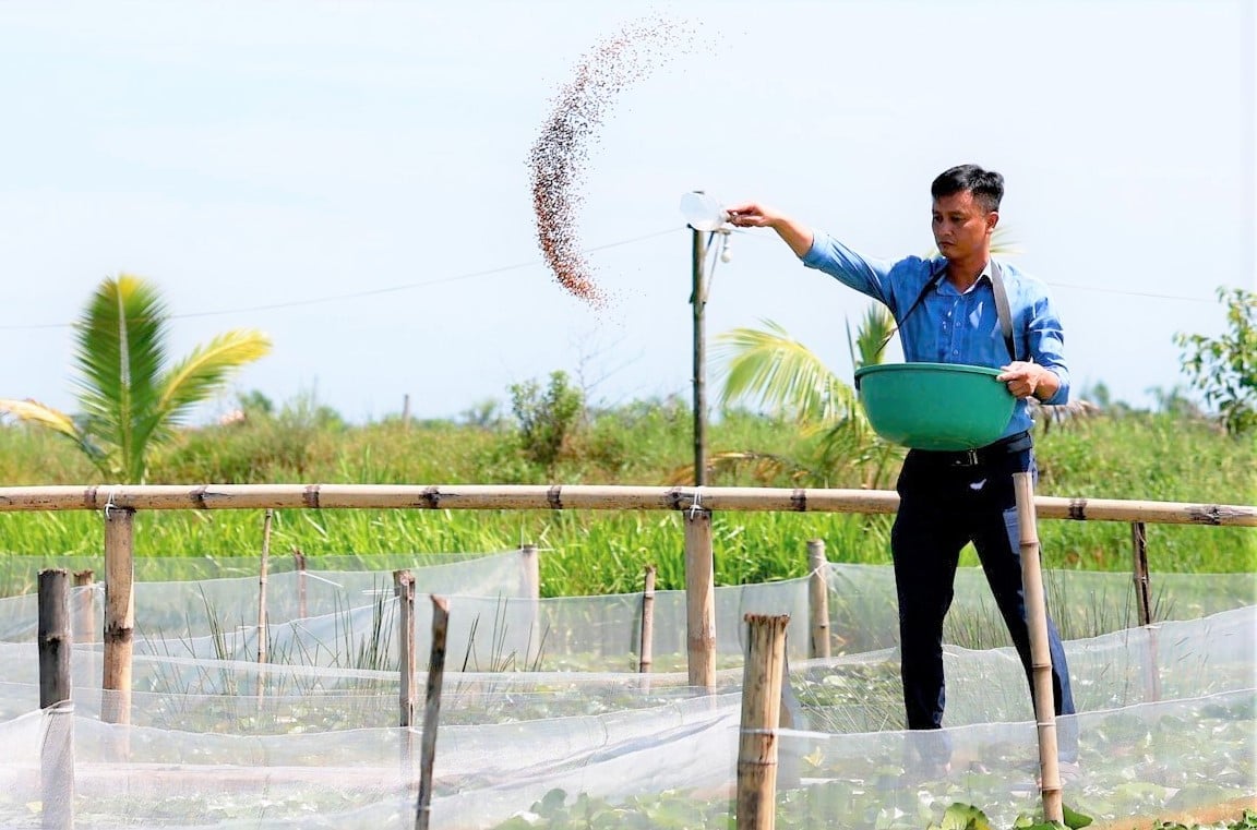 Mô hình nông nghiệp sạch kết hợp khai thác du lịch sinh thái đem lại hiệu quả kinh tế cao cho HTX. Ảnh: Hưng Phúc. Mô hình nông nghiệp sạch kết hợp khai thác du lịch sinh thái đem lại hiệu quả kinh tế cao cho HTX. Ảnh: Hưng Phúc.