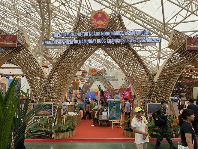 Khu Triển lãm ngành Nông nghiệp và Môi trường được bố trí tại vị trí H1-016, khu Hall 1 với diện tích mặt bằng 480 m2, trong Nhà triển lãm Kim Quy. Ảnh: Thành Nam. Khu Triển lãm ngành Nông nghiệp và Môi trường được bố trí tại vị trí H1-016, khu Hall 1 với diện tích mặt bằng 480 m2, trong Nhà triển lãm Kim Quy. Ảnh: Thành Nam.