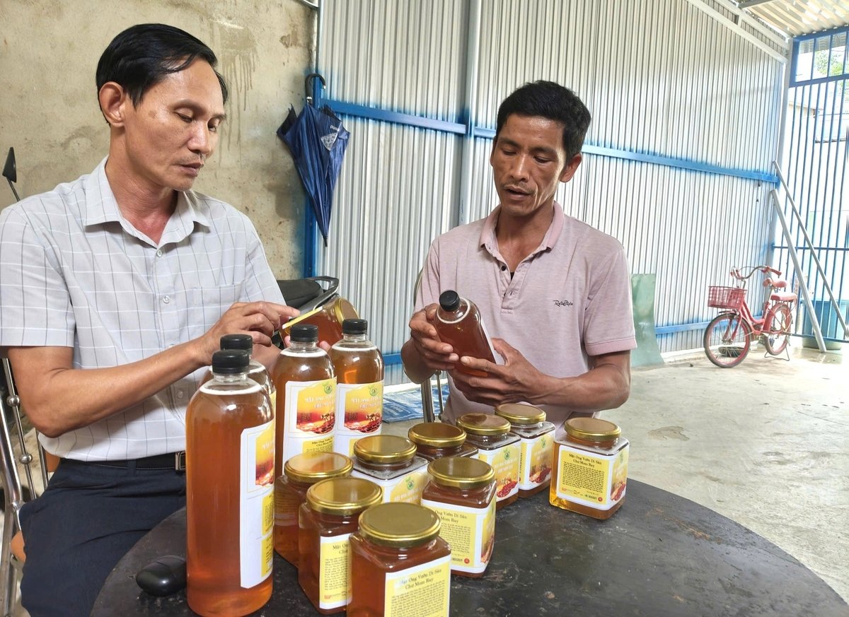 Mật ong nơi đây đã được hỗ trợ xây dựng thương hiệu sản phẩm. Ảnh: Tuấn Anh. Mật ong nơi đây đã được hỗ trợ xây dựng thương hiệu sản phẩm. Ảnh: Tuấn Anh.