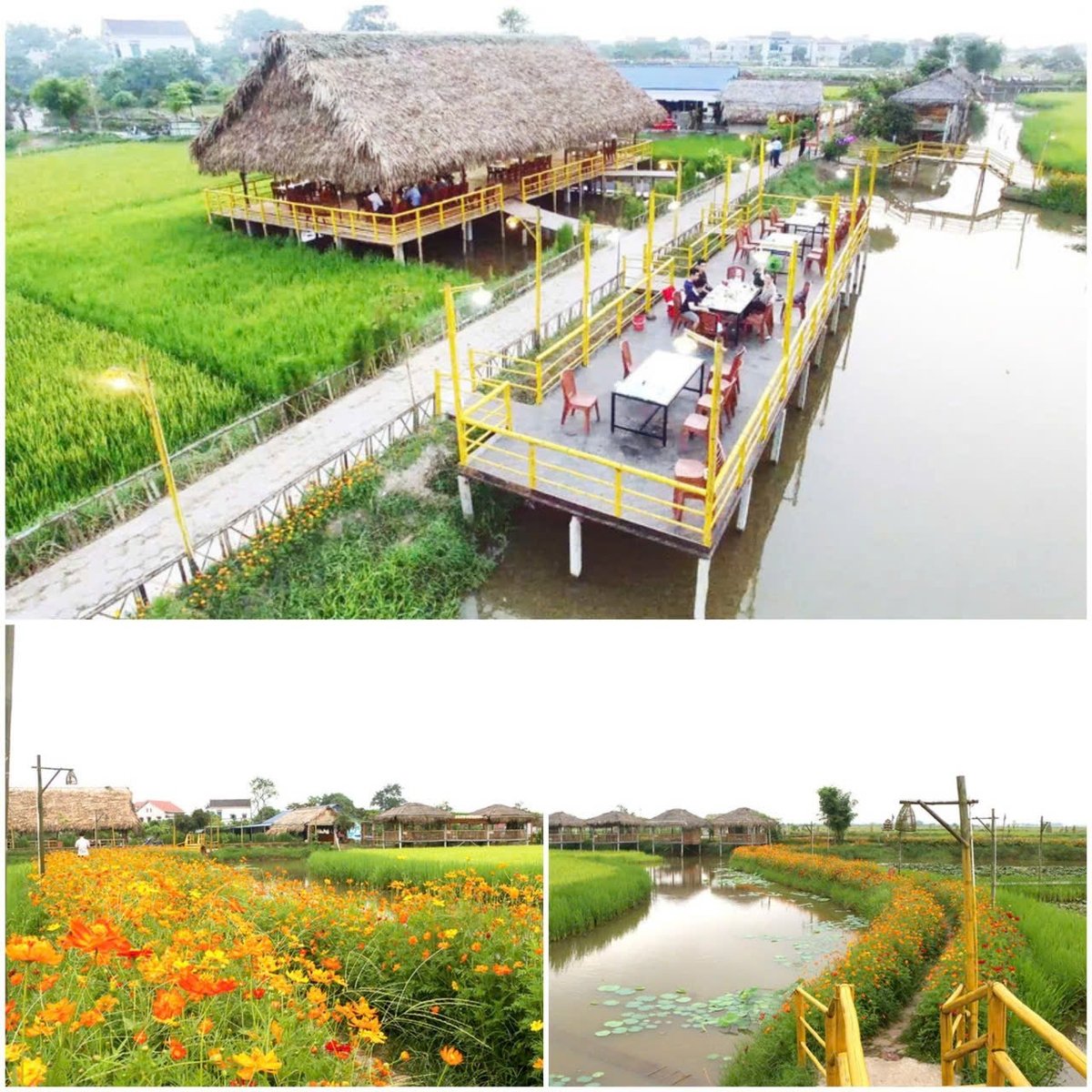 Những hình ảnh, video về du lịch trải nghiệm được anh Quyền tận dụng triệt để, phát trên nền tảng mạng xã hội nhằm thu hút du khách. Ảnh: Hưng Phúc. Những hình ảnh, video về du lịch trải nghiệm được anh Quyền tận dụng triệt để, phát trên nền tảng mạng xã hội nhằm thu hút du khách. Ảnh: Hưng Phúc.