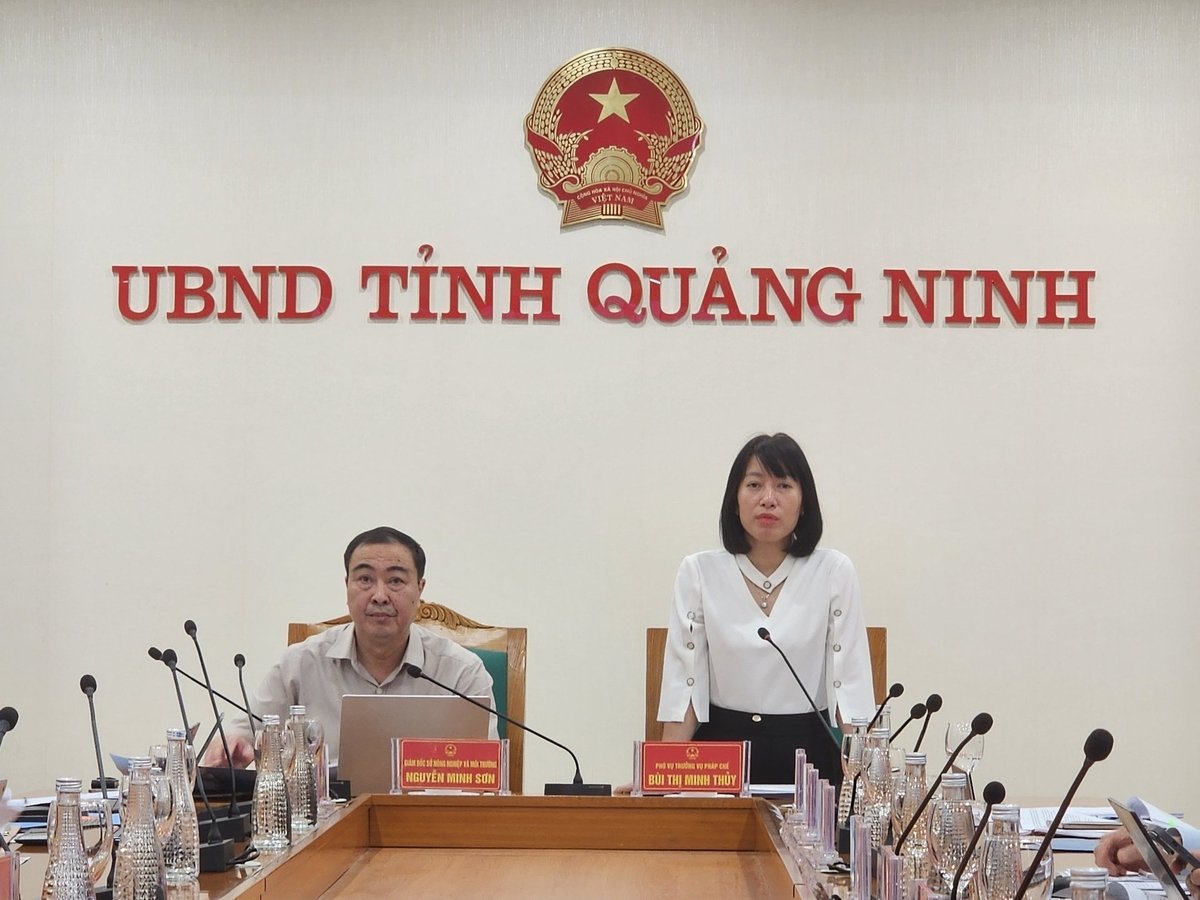 Bà Bùi Thị Minh Thuỷ, Phó Vụ trưởng Vụ Pháp Chế (Bộ Nông nghiệp và Môi trường) phát biểu tại buổi làm việc. Ảnh: Vũ Cường. Bà Bùi Thị Minh Thuỷ, Phó Vụ trưởng Vụ Pháp Chế (Bộ Nông nghiệp và Môi trường) phát biểu tại buổi làm việc. Ảnh: Vũ Cường.