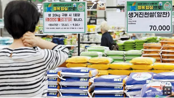 A consumer looking at a rice sales display at a large supermarket in Seoul on the 3rd. According to the Korea Agro-Fisheries & Food Trade Corporation, on the 2nd, the average retail price of 20kg of rice rose 17.2% from the previous year to 60,294 won. Photo: Yonhap.