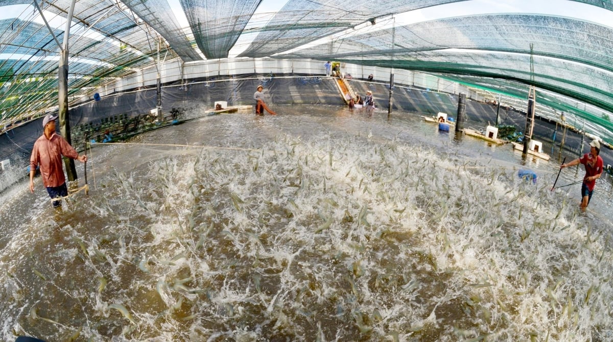 Hà Nội ủy quyền cho Giám đốc Sở NN-MT và chủ tịch UBND xã, phường giải quyết TTHC về quản lý chất lượng nông, lâm, thủy sản thuộc thẩm quyền của Chủ tịch UBND Thành phố. Ảnh: Hồng Thắm. Hà Nội ủy quyền cho Giám đốc Sở NN-MT và chủ tịch UBND xã, phường giải quyết TTHC về quản lý chất lượng nông, lâm, thủy sản thuộc thẩm quyền của Chủ tịch UBND Thành phố. Ảnh: Hồng Thắm.