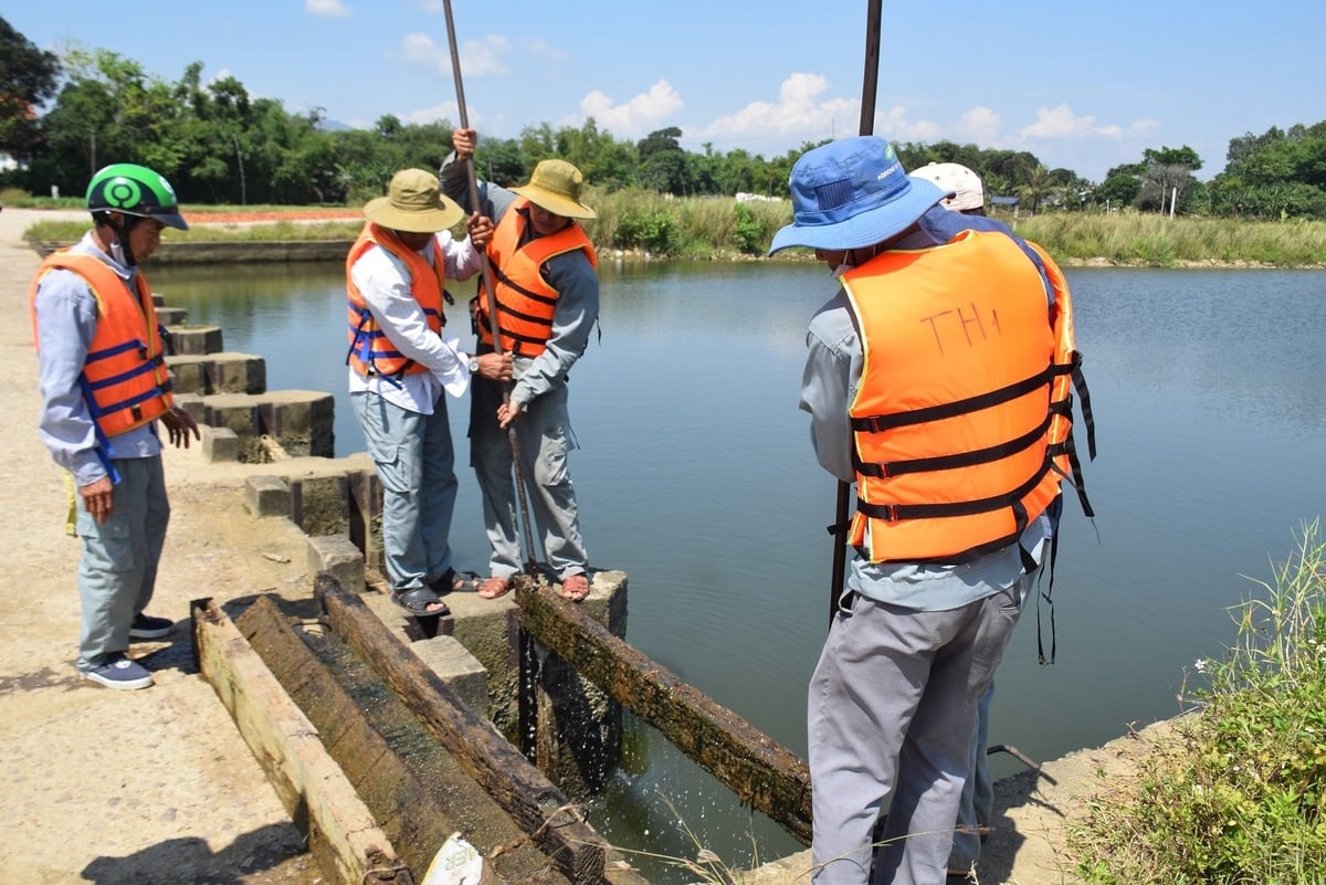 Ở vùng Đông Gia Lai hiện còn nhiều con đập đóng mở cửa đập thủ công bằng ván phai. Ảnh: V.Đ.T.