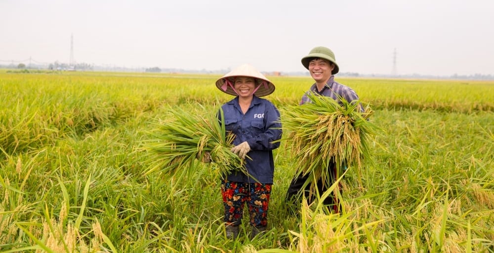 Biostimulant biological products help enhance plant health, improve nutrient use efficiency, and support crops in better coping with climate change. Photo: PAN Group.
