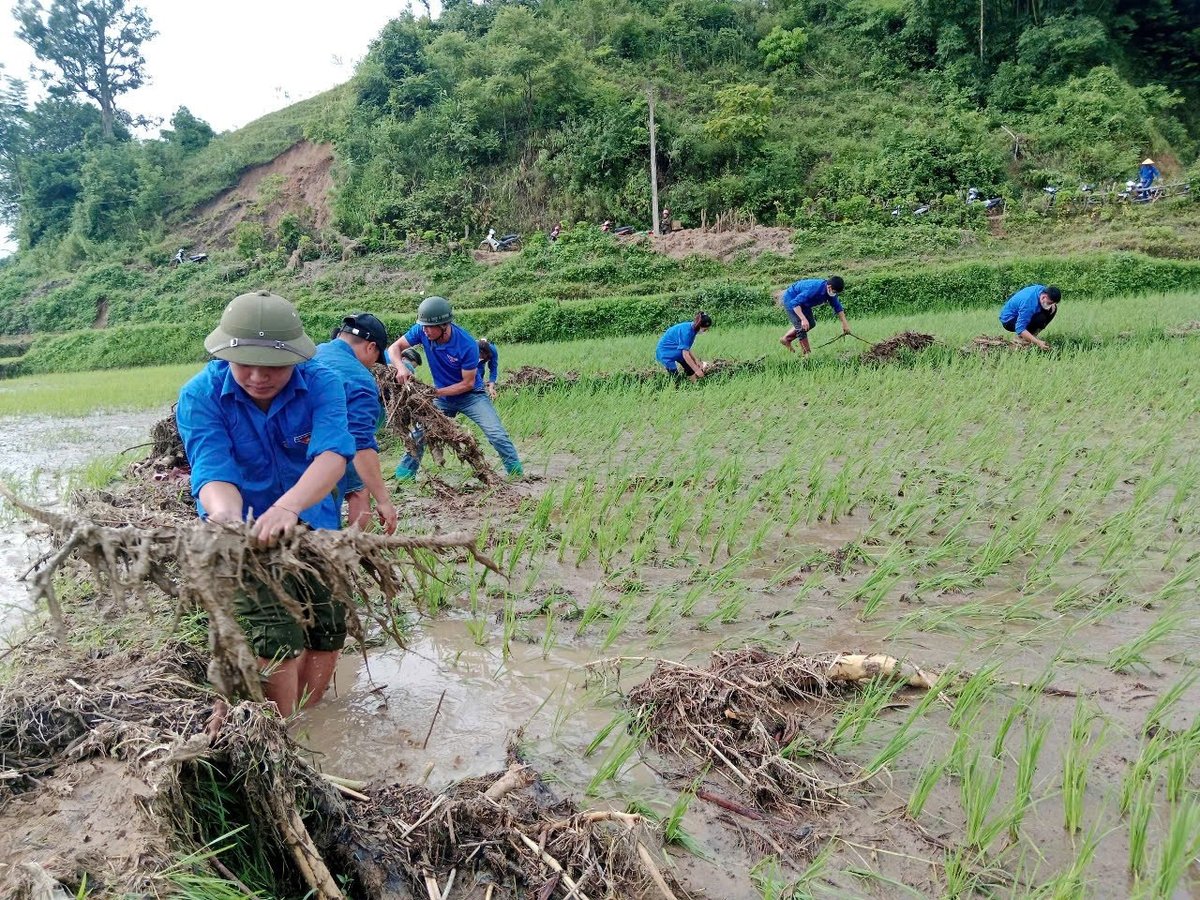 Đoàn viên thanh niên hỗ trợ người dân xã Xa Dung thu dọn bùn đất, khơi thông ruộng lúa sau mưa lũ. Ảnh: TTĐB. Đoàn viên thanh niên hỗ trợ người dân xã Xa Dung thu dọn bùn đất, khơi thông ruộng lúa sau mưa lũ. Ảnh: TTĐB.