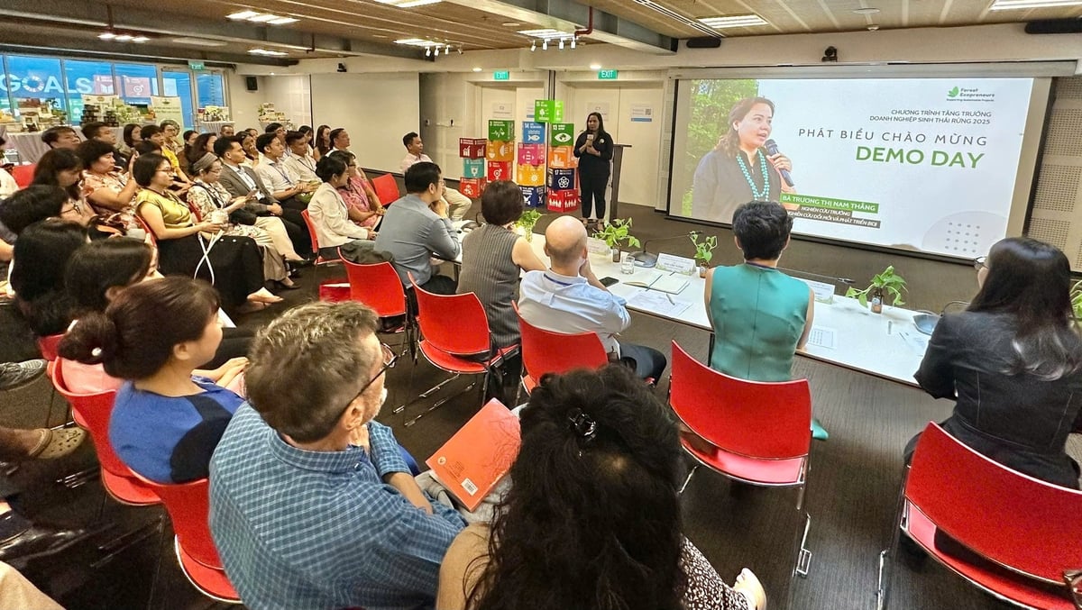 Tổng kết Chương trình ttrưởng doanh nghiệp sinh thái rừng - Forest Ecopreneur 2025. Ảnh: Nguyễn Thủy. Tổng kết Chương trình ttrưởng doanh nghiệp sinh thái rừng - Forest Ecopreneur 2025. Ảnh: Nguyễn Thủy.