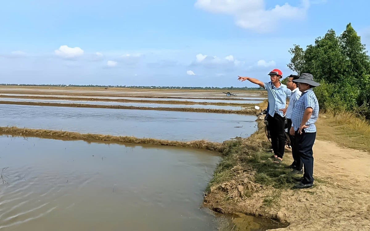 Ngành nông nghiệp Tây Ninh bám sát lũ, tăng cường chỉ đạo thủy lợi, đảm bảo vụ thu đông thắng lợi. Ảnh: Trần Trung. Ngành nông nghiệp Tây Ninh bám sát lũ, tăng cường chỉ đạo thủy lợi, đảm bảo vụ thu đông thắng lợi. Ảnh: Trần Trung.
