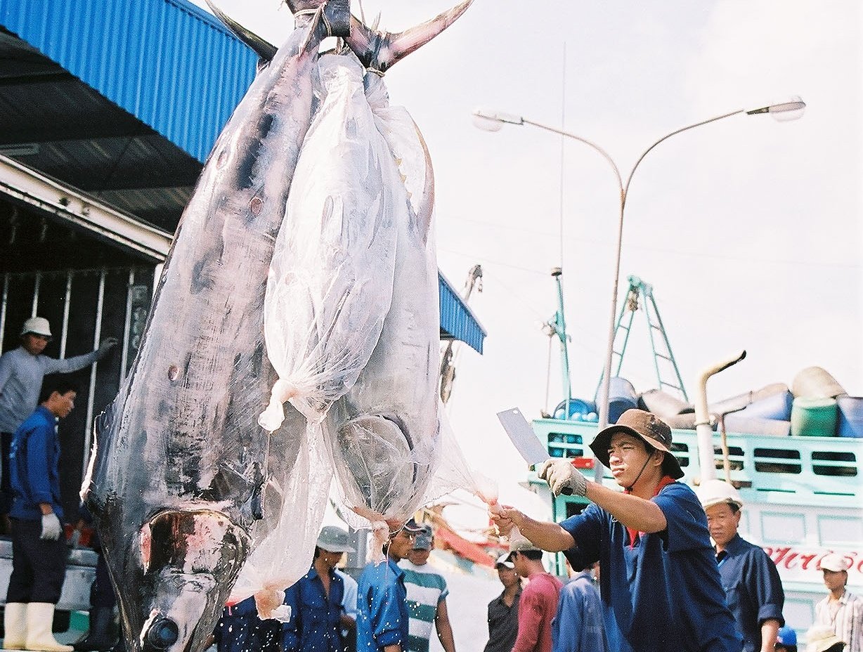 Thứ trưởng Bộ Nông nghiệp và Môi trường Phùng Đức Tiến chỉ đạo các đơn vị cần phối hợp và triển khai quyết liệt, kịp thời các nhiệm vụ liên quan đến MMPA. Ảnh: Hồng Thắm. Thứ trưởng Bộ Nông nghiệp và Môi trường Phùng Đức Tiến chỉ đạo các đơn vị cần phối hợp và triển khai quyết liệt, kịp thời các nhiệm vụ liên quan đến MMPA. Ảnh: Hồng Thắm.