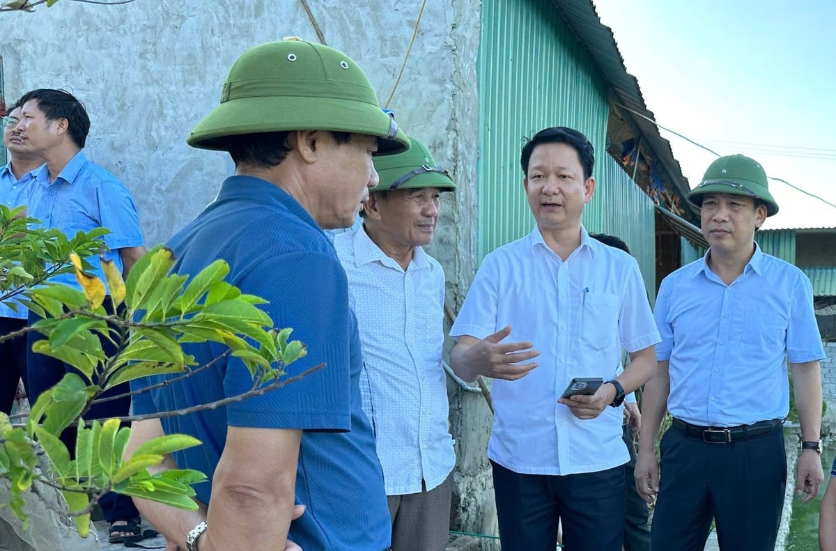 Cơ quan chuyên môn tỉnh Nghệ An đánh giá kết quả mô hinh nuôi cá rô phi Hồng Sinh ở xã Quỳnh Văn. Ảnh: Việt Khánh. Cơ quan chuyên môn tỉnh Nghệ An đánh giá kết quả mô hinh nuôi cá rô phi Hồng Sinh ở xã Quỳnh Văn. Ảnh: Việt Khánh.