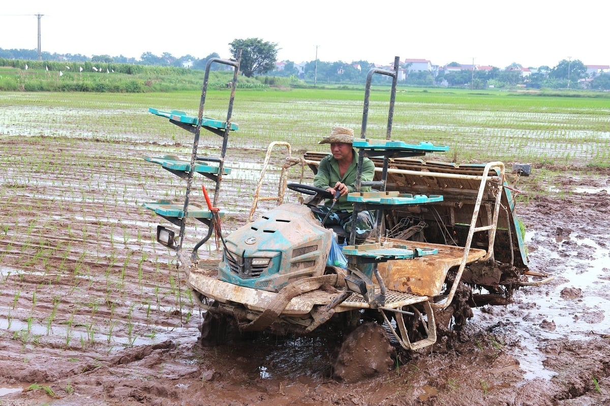 Khoa học công nghệ đồng hành cùng người nông dân. Ảnh: Phạm Hiếu. Khoa học công nghệ đồng hành cùng người nông dân. Ảnh: Phạm Hiếu.