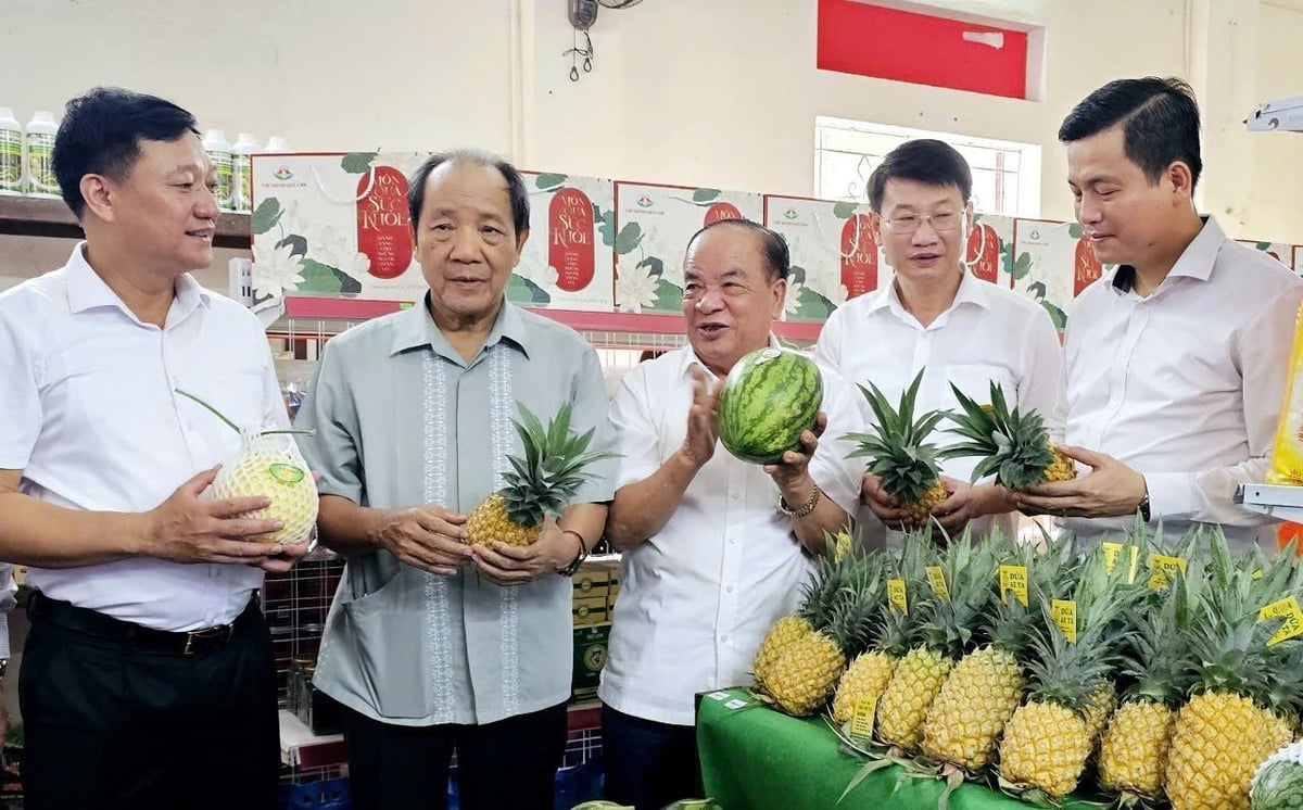 Muốn nông nghiệp tuần hoàn thành công, cả hệ thống chính trị phải cùng vào cuộc. Ảnh: Hoàng Anh.