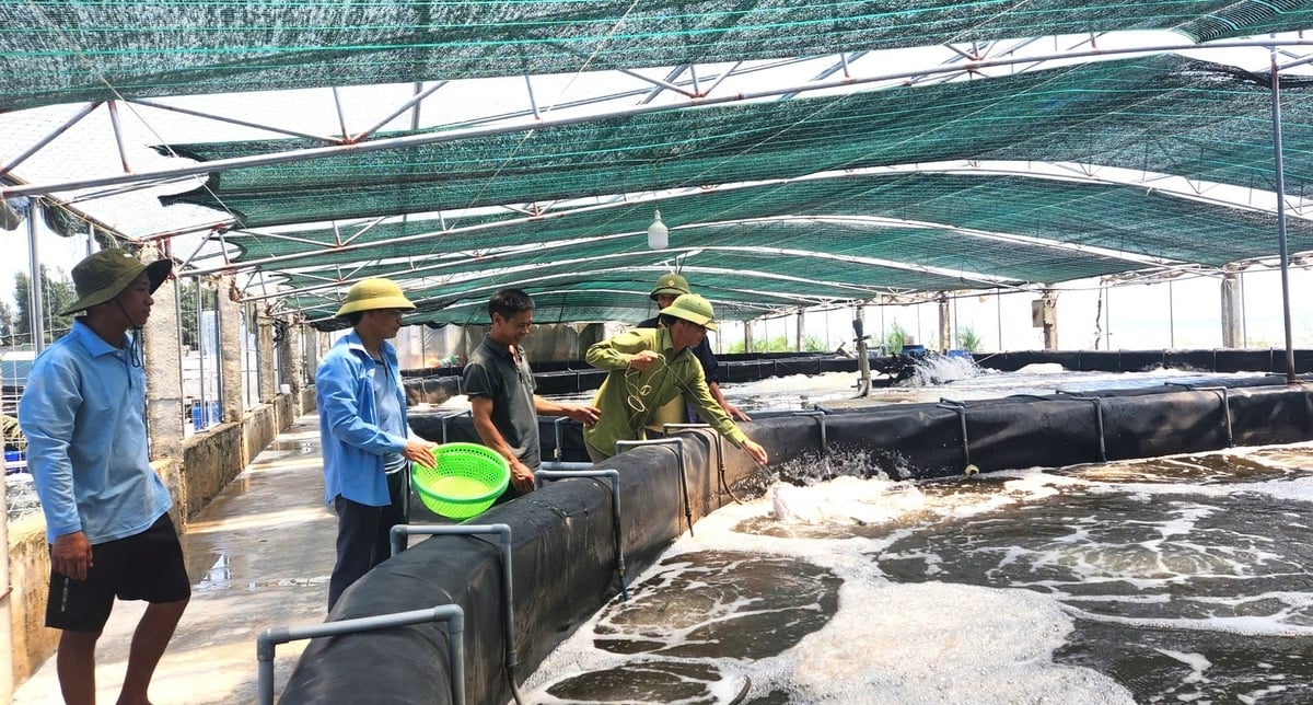 Nuôi tôm công nghệ cao là xu thế tất yếu. Ảnh: Việt Khánh. Nuôi tôm công nghệ cao là xu thế tất yếu. Ảnh: Việt Khánh.