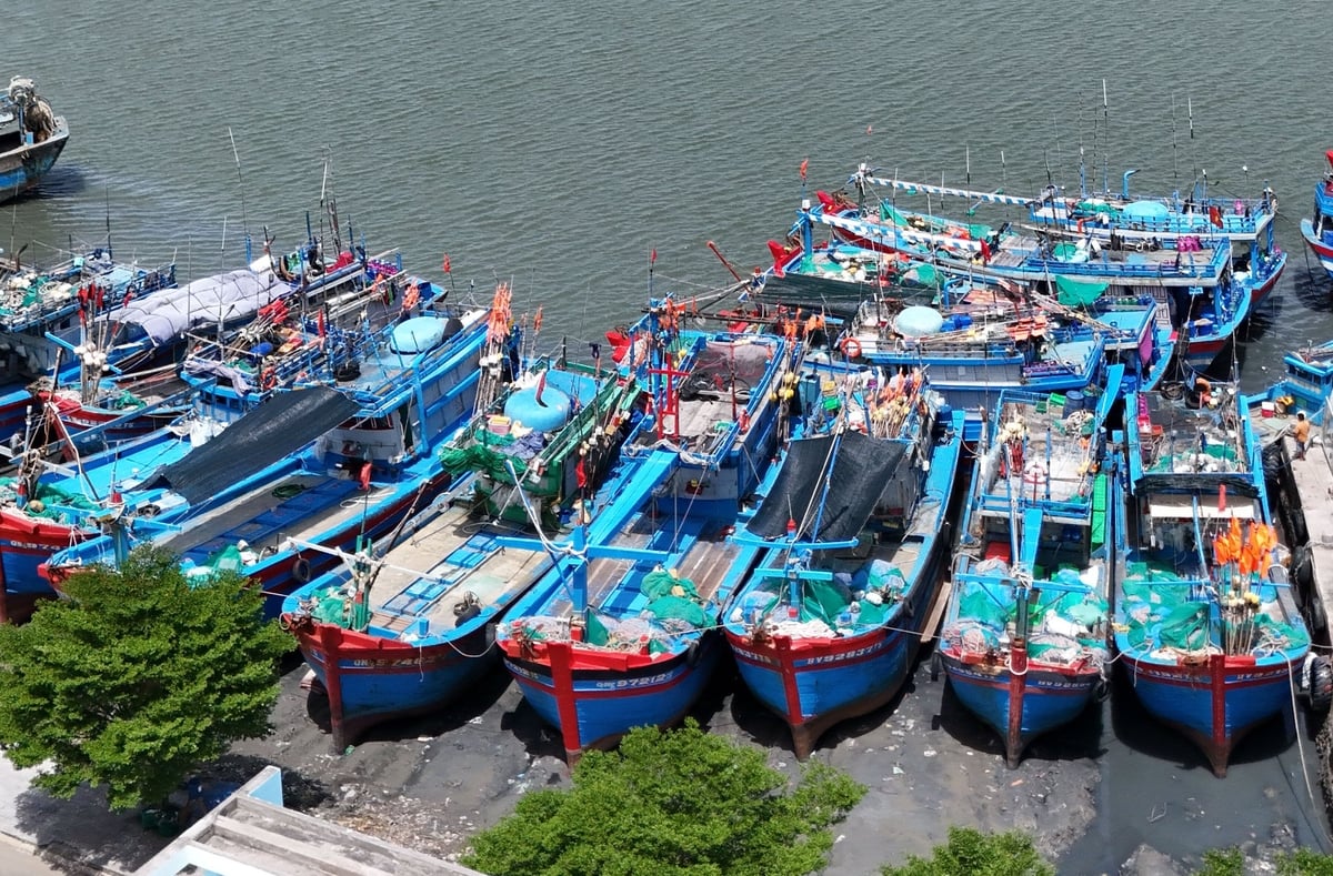 TP.HCM kiên quyết không cho tàu không đủ điều kiện ra khơi, đồng thời ngăn chặn việc tắt giám sát và xâm phạm vùng biển nước ngoài. Ảnh: Lê Bình. TP.HCM kiên quyết không cho tàu không đủ điều kiện ra khơi, đồng thời ngăn chặn việc tắt giám sát và xâm phạm vùng biển nước ngoài. Ảnh: Lê Bình.