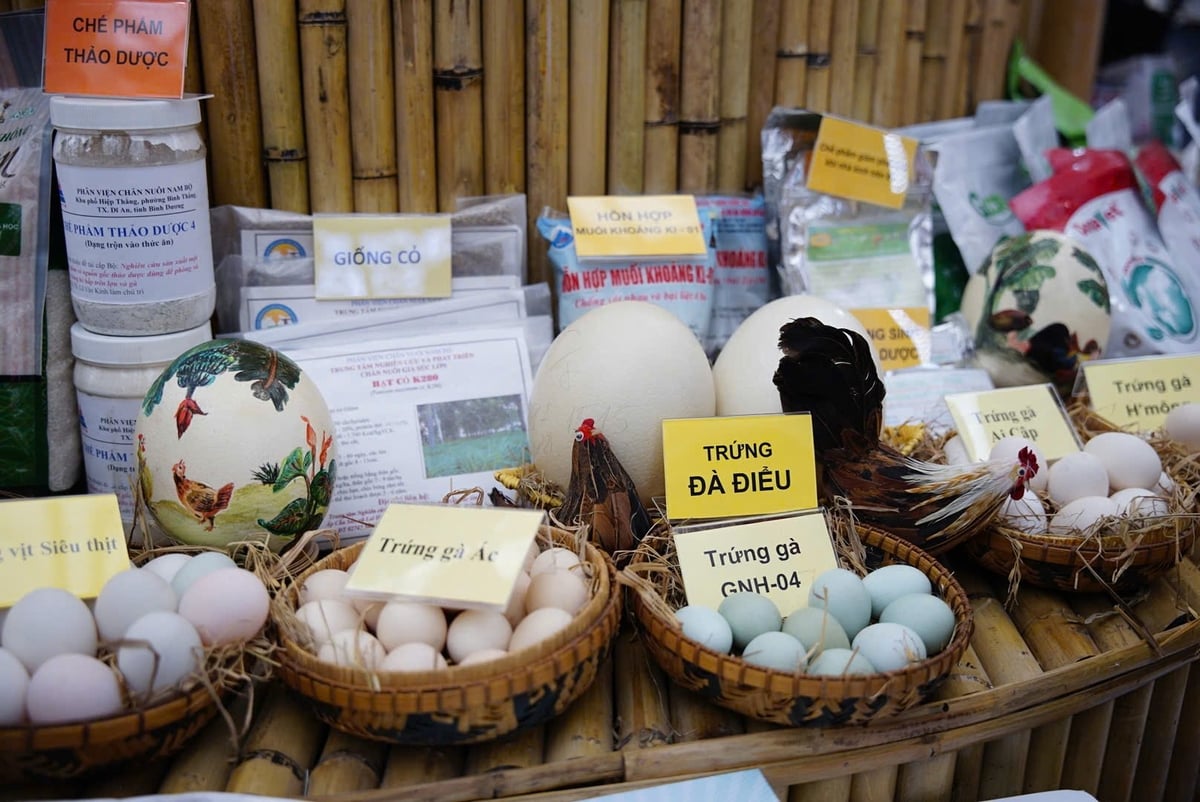Sản phẩm chăn nuôi Việt Nam không chỉ phục vụ 100 triệu người dân trong nước mà còn xuất khẩu đến các thị trường khó tính. Ảnh: Linh Linh. Sản phẩm chăn nuôi Việt Nam không chỉ phục vụ 100 triệu người dân trong nước mà còn xuất khẩu đến các thị trường khó tính. Ảnh: Linh Linh.