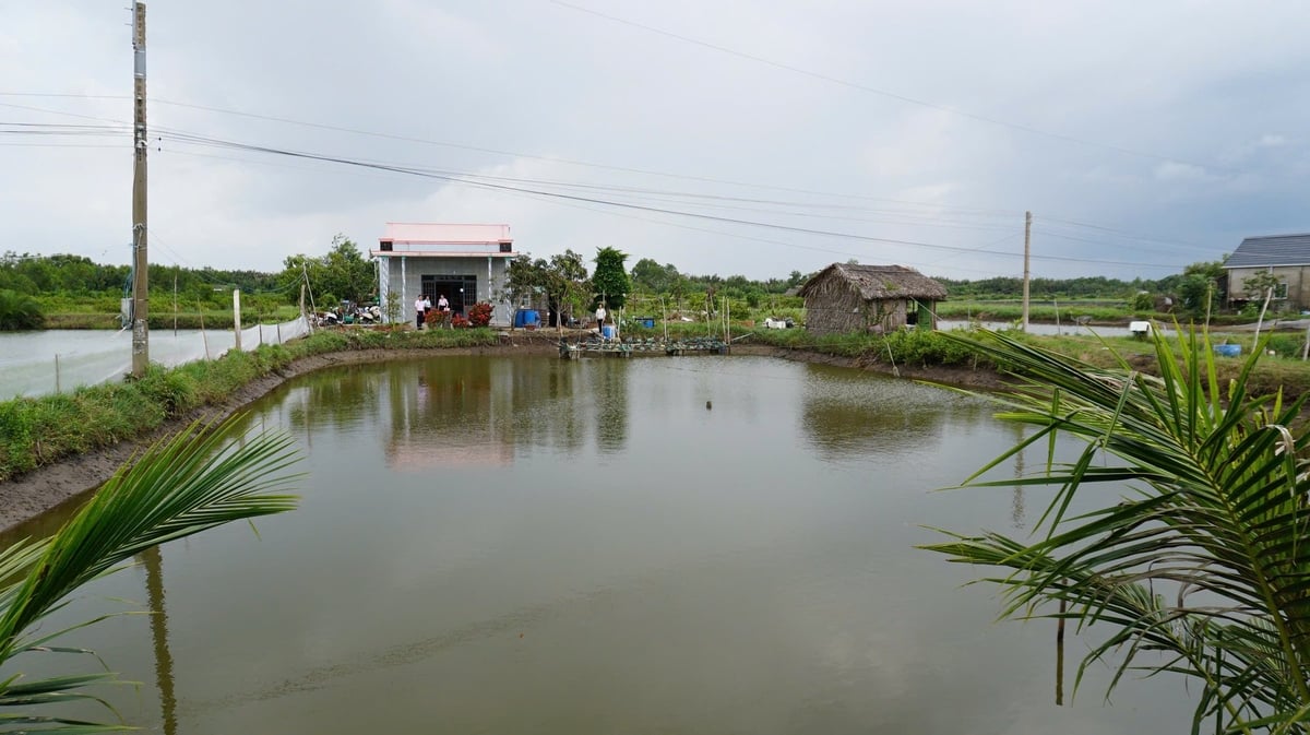 Đời sống bà con Phước Vĩnh Đông ngày một nâng lên nhờ tiếp cận nguồn vốn tín dụng chính sách. Ảnh: Trần Trung. Đời sống bà con Phước Vĩnh Đông ngày một nâng lên nhờ tiếp cận nguồn vốn tín dụng chính sách. Ảnh: Trần Trung.