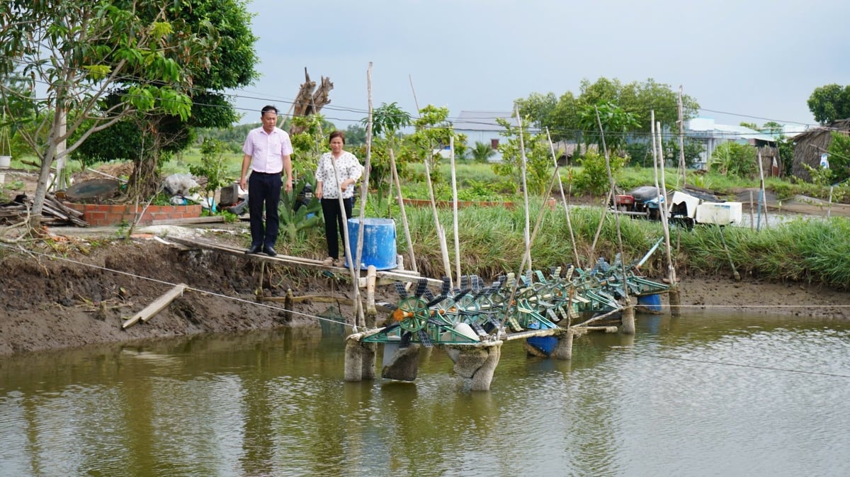 Mô hình sản xuất của bà Nguyễn Thị Thúy Oanh. Ảnh: Trần Trung. Mô hình sản xuất của bà Nguyễn Thị Thúy Oanh. Ảnh: Trần Trung.